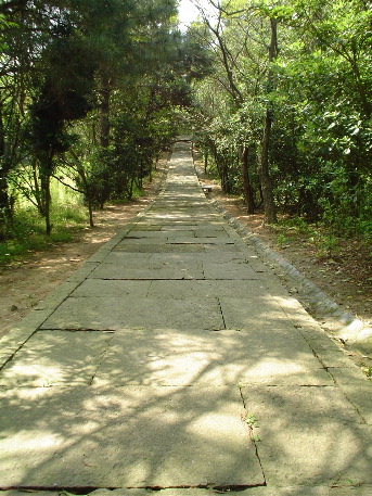 Inviting path