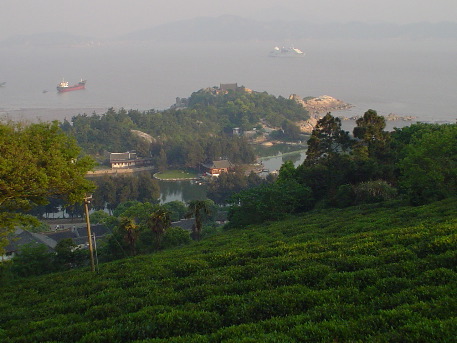 Tea fragrant fish pond