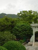 How green was this sacred Buddhist mountain